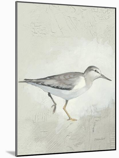 Sea Birds III-Kathrine Lovell-Mounted Art Print