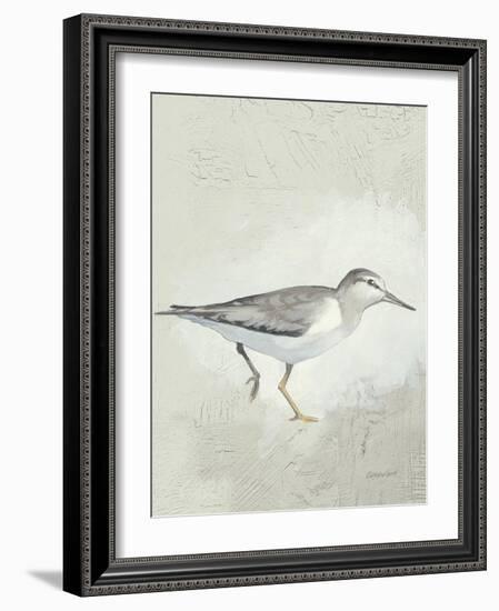 Sea Birds III-Kathrine Lovell-Framed Art Print