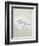 Sea Birds IV-Kathrine Lovell-Framed Art Print