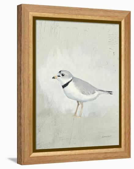 Sea Birds IV-Kathrine Lovell-Framed Stretched Canvas