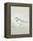 Sea Birds IV-Kathrine Lovell-Framed Stretched Canvas