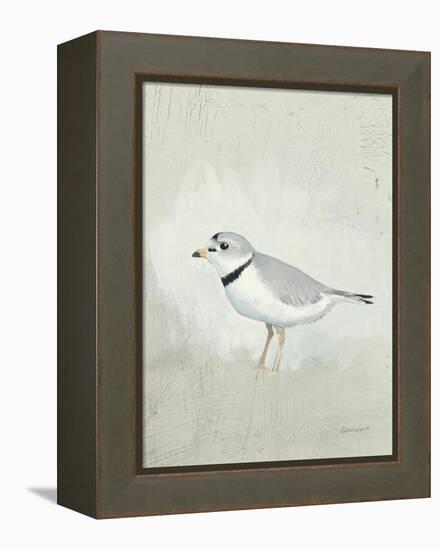 Sea Birds IV-Kathrine Lovell-Framed Stretched Canvas