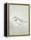 Sea Birds IV-Kathrine Lovell-Framed Stretched Canvas