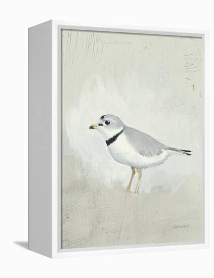 Sea Birds IV-Kathrine Lovell-Framed Stretched Canvas