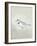 Sea Birds IV-Kathrine Lovell-Framed Art Print