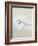 Sea Birds IV-Kathrine Lovell-Framed Art Print