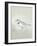 Sea Birds IV-Kathrine Lovell-Framed Art Print