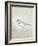 Sea Birds IV-Kathrine Lovell-Framed Art Print