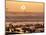Sea Birds on Beach, Sun Setting in Mist, Santa Cruz Coast, California, USA,-Tom Norring-Mounted Photographic Print