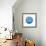 Sea Blue Urchin-Crystal Smith-Framed Art Print displayed on a wall