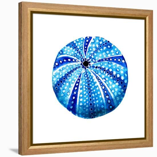 Sea Blue Urchin-Crystal Smith-Framed Stretched Canvas