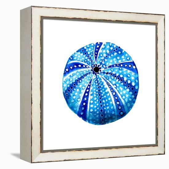 Sea Blue Urchin-Crystal Smith-Framed Stretched Canvas