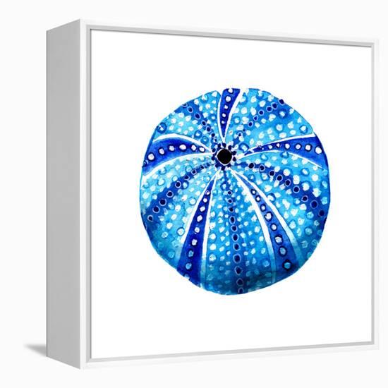 Sea Blue Urchin-Crystal Smith-Framed Stretched Canvas