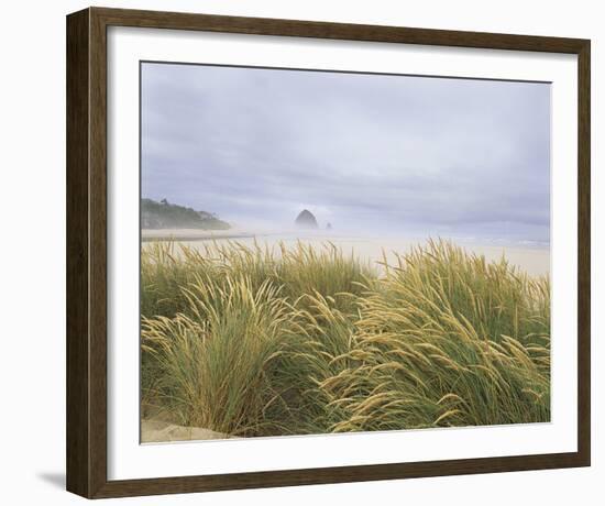 Sea Breeze Dunes-Adam Brock-Framed Giclee Print