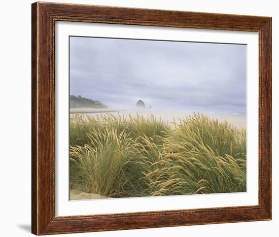 Sea Breeze Dunes-Adam Brock-Framed Giclee Print