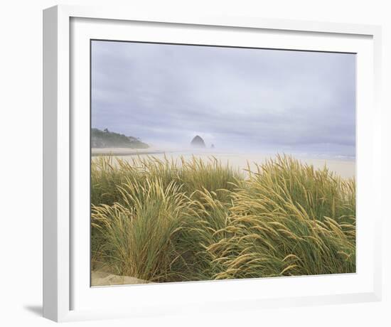 Sea Breeze Dunes-Adam Brock-Framed Giclee Print