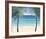 Sea Breeze II-Cathe Hendrick-Framed Giclee Print