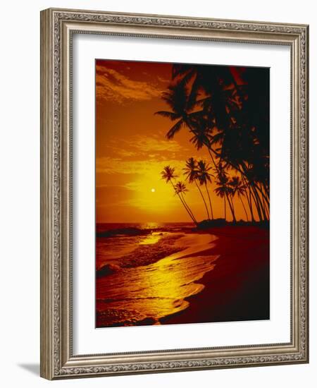 Sea, Coast, Surge-Thonig-Framed Photographic Print