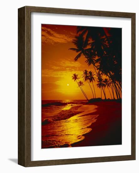 Sea, Coast, Surge-Thonig-Framed Photographic Print