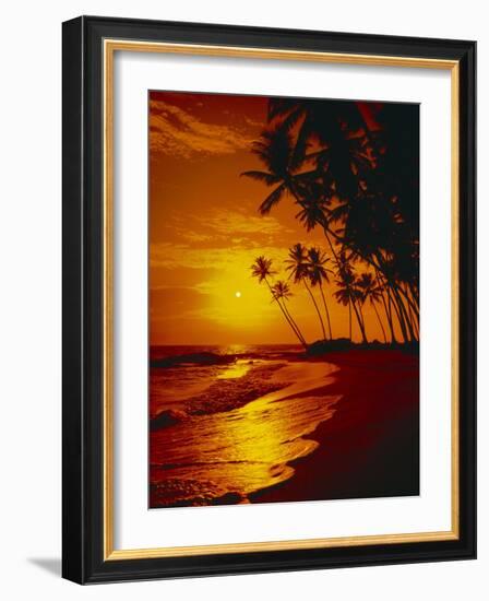 Sea, Coast, Surge-Thonig-Framed Photographic Print