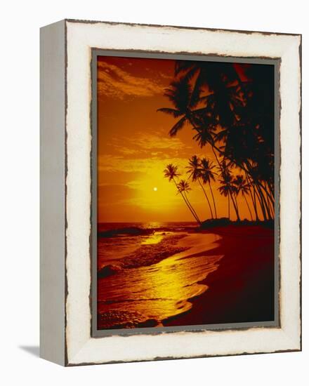 Sea, Coast, Surge-Thonig-Framed Premier Image Canvas