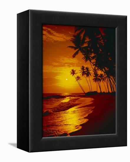 Sea, Coast, Surge-Thonig-Framed Premier Image Canvas