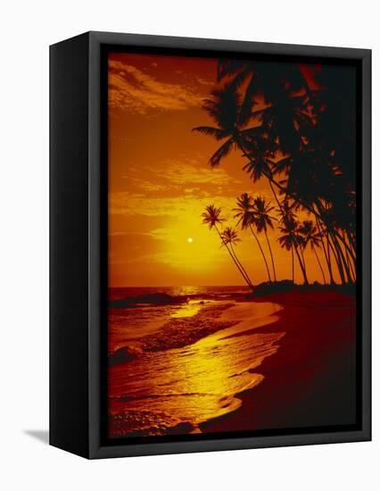 Sea, Coast, Surge-Thonig-Framed Premier Image Canvas