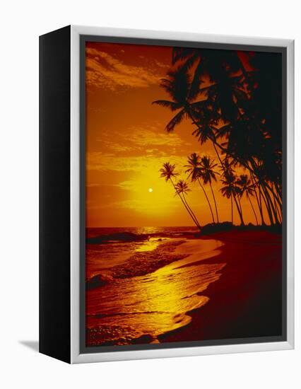 Sea, Coast, Surge-Thonig-Framed Premier Image Canvas