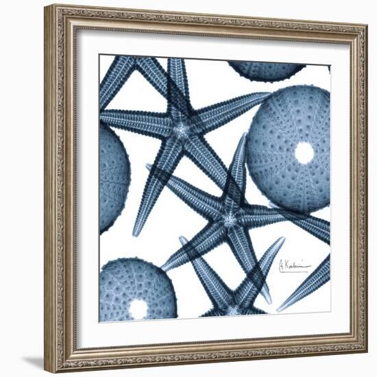 Sea Constellation 3-Albert Koetsier-Framed Art Print