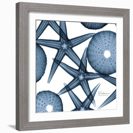 Sea Constellation 3-Albert Koetsier-Framed Art Print