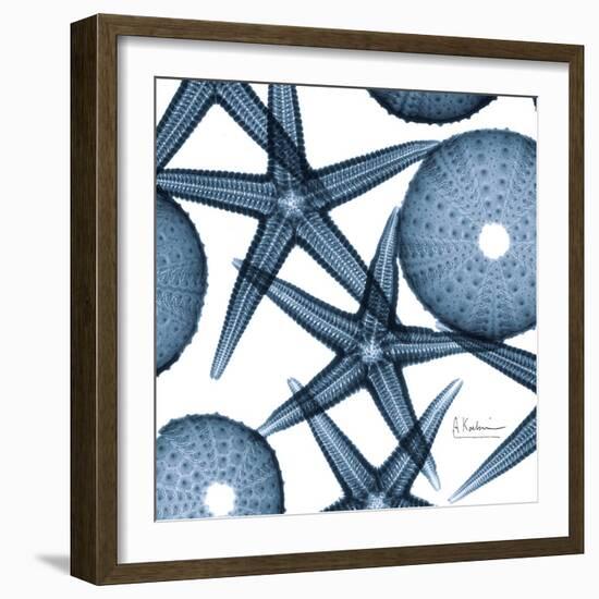 Sea Constellation 3-Albert Koetsier-Framed Art Print