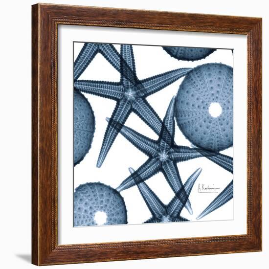 Sea Constellation 3-Albert Koetsier-Framed Art Print