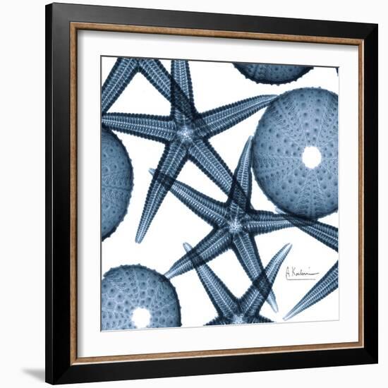 Sea Constellation 3-Albert Koetsier-Framed Art Print