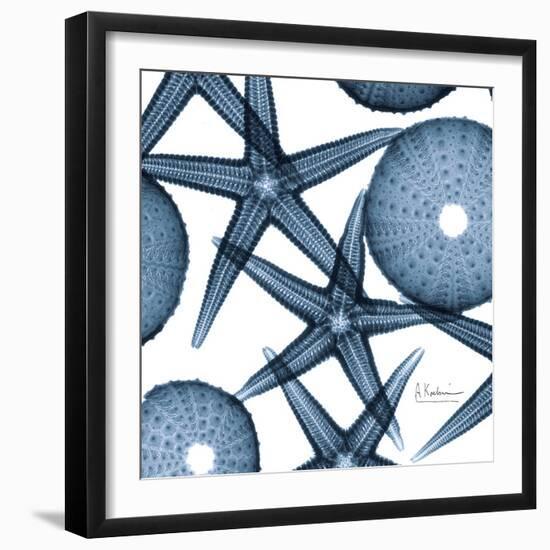 Sea Constellation 3-Albert Koetsier-Framed Art Print