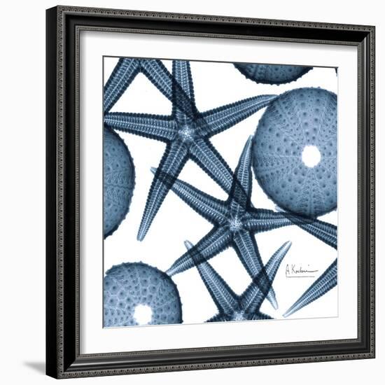 Sea Constellation 3-Albert Koetsier-Framed Art Print