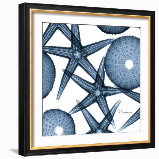 Sea Constellation 3-Albert Koetsier-Framed Art Print