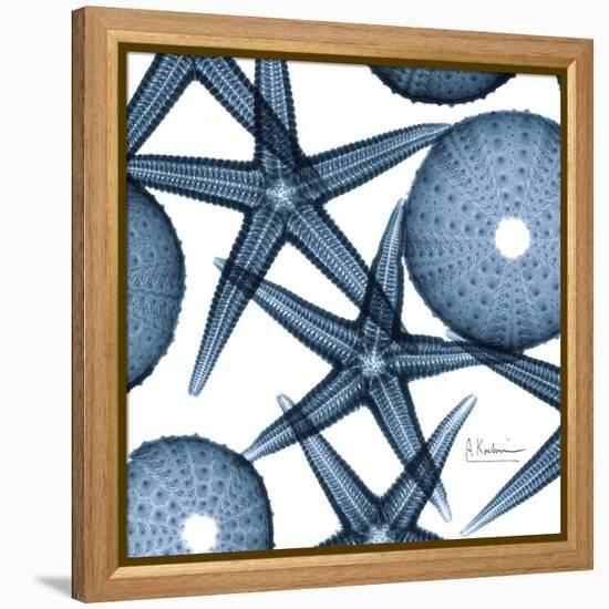 Sea Constellation 3-Albert Koetsier-Framed Stretched Canvas