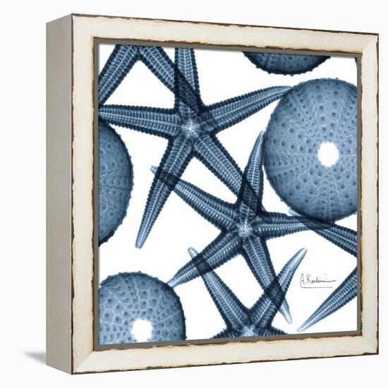 Sea Constellation 3-Albert Koetsier-Framed Stretched Canvas