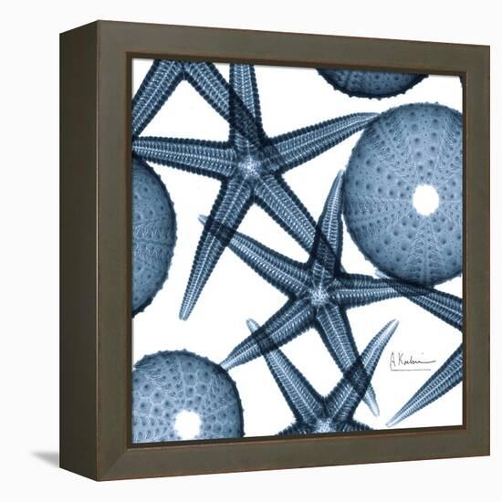 Sea Constellation 3-Albert Koetsier-Framed Stretched Canvas