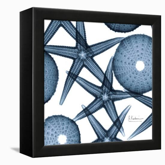 Sea Constellation 3-Albert Koetsier-Framed Stretched Canvas