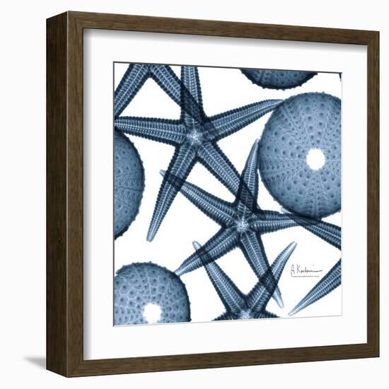 Sea Constellation 3-Albert Koetsier-Framed Art Print