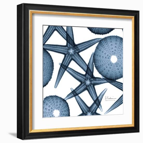 Sea Constellation 3-Albert Koetsier-Framed Art Print