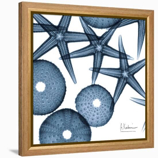 Sea Constellation 4-Albert Koetsier-Framed Stretched Canvas