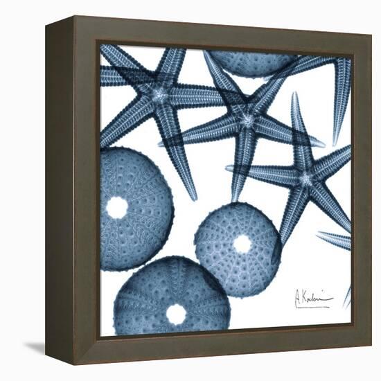 Sea Constellation 4-Albert Koetsier-Framed Stretched Canvas