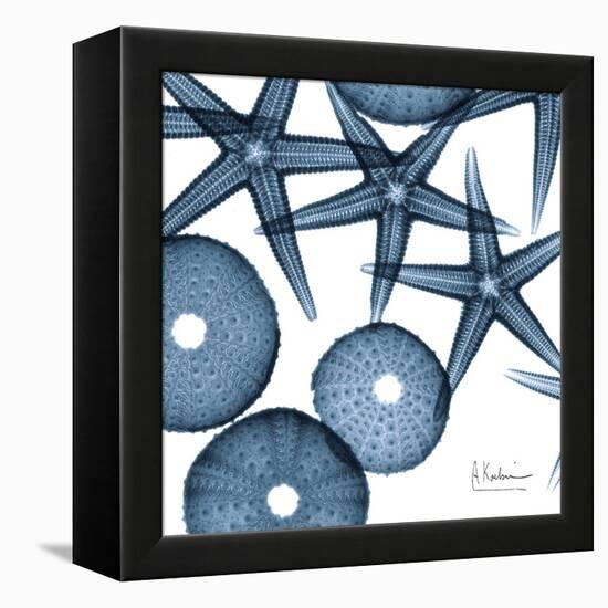 Sea Constellation 4-Albert Koetsier-Framed Stretched Canvas