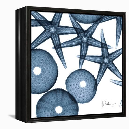 Sea Constellation 4-Albert Koetsier-Framed Stretched Canvas