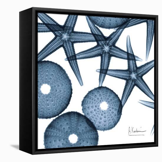 Sea Constellation 4-Albert Koetsier-Framed Stretched Canvas