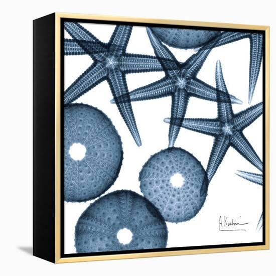 Sea Constellation 4-Albert Koetsier-Framed Stretched Canvas