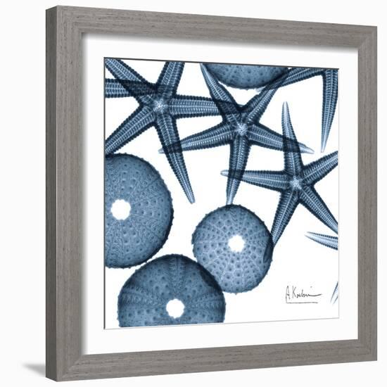 Sea Constellation 4-Albert Koetsier-Framed Premium Giclee Print