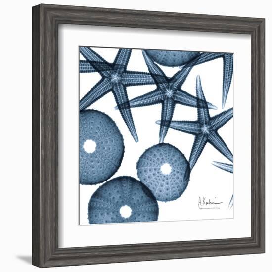 Sea Constellation 4-Albert Koetsier-Framed Art Print